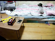 【自購情侶私拍流出】小情侶在出租房啪啪做愛流出 女上騎乘位瘋狂聳動叫床聲給力 原版高清