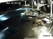 網爆門事件！香港某星級酒店一對情侶趁著夜晚沒人在頂層遊泳池啪啪被監控拍下流出視頻 720P高清
