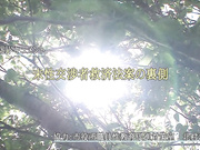 [SVDVD-958] 童貞救済法案 女性市役所職員自ら性交処置【ご相談ください】 - 1of5