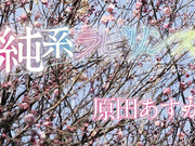 [CAND-01240]] 純系ラビリンス 原田あすか - 1of5
