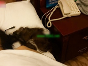 噴血推薦 美容院豐滿氣質的老板娘陪客戶吃飯被灌醉帶入酒店脫光衣服任意玩弄 逼逼又肥又豐滿幹得絕對帶勁 1080P原版高清