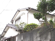 [NEWM-114] 嫁の母と禁断性交 其の六拾参 妻よりもお義母さんの方がいいよ… 葵百合香 - 1of5
