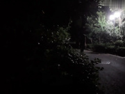 黑丝美腿夜场女深夜独自回家被强奸