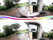 Virtual Reality Neighbors