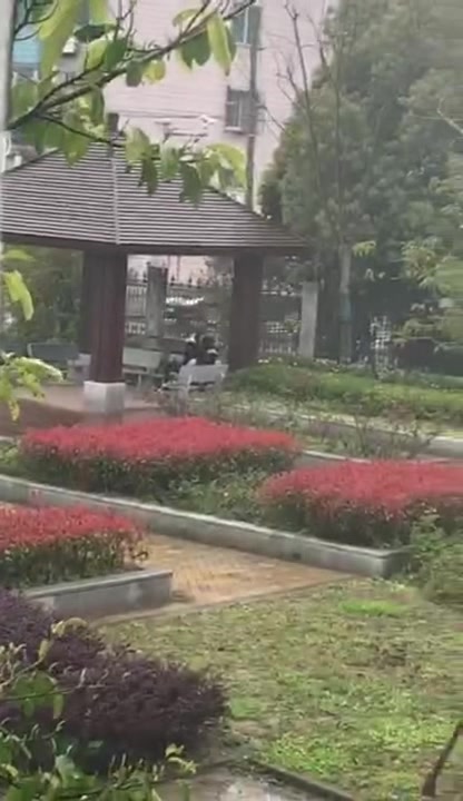 牛逼 最新门事件 重庆市第三中学下雨天 校园亭子下直接开干 旁边不停走过行人