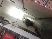 大胆坑神都市公厕T拍各种类型年轻漂亮妹子方便拍全身在拍BB月经期用手扒拉阴部两片肥厚阴唇弹性十足颤动是亮点