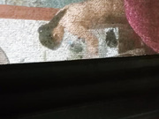偷拍邻居少妇洗澡