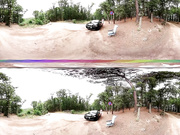Love for Sale in Virtual Reality
