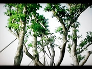 情趣內衣寫真004